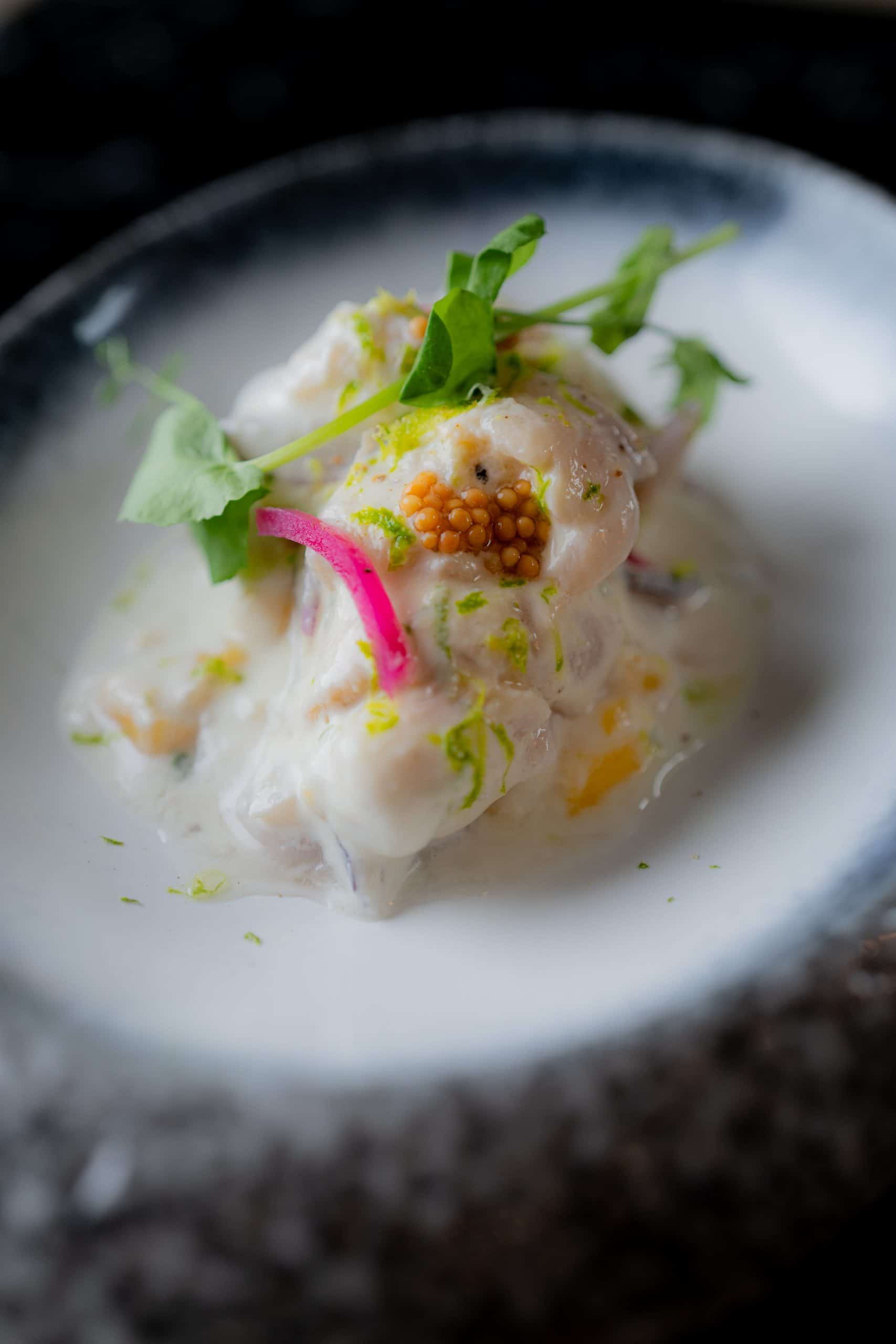 Ceviche-3