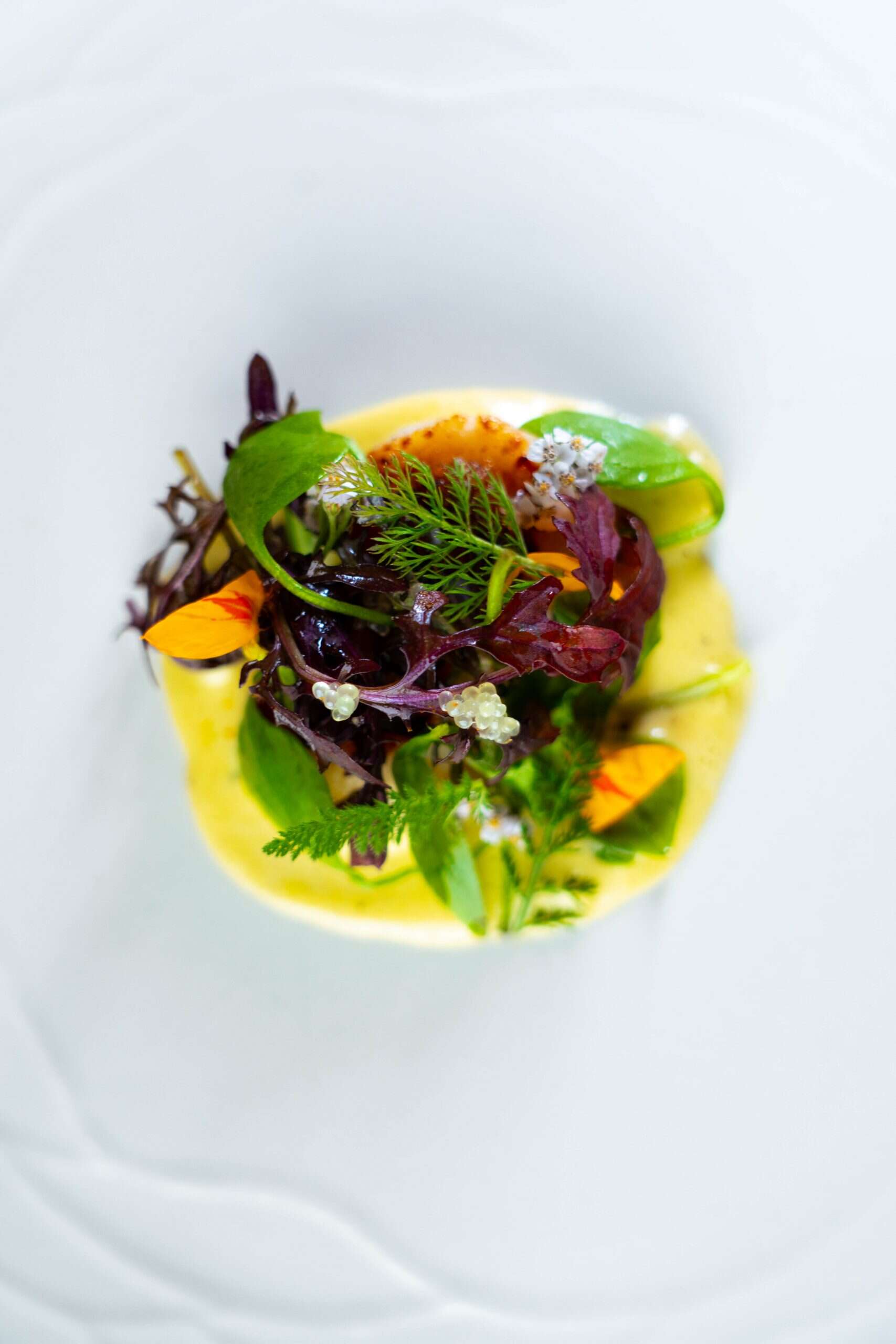 Entrée 3-6