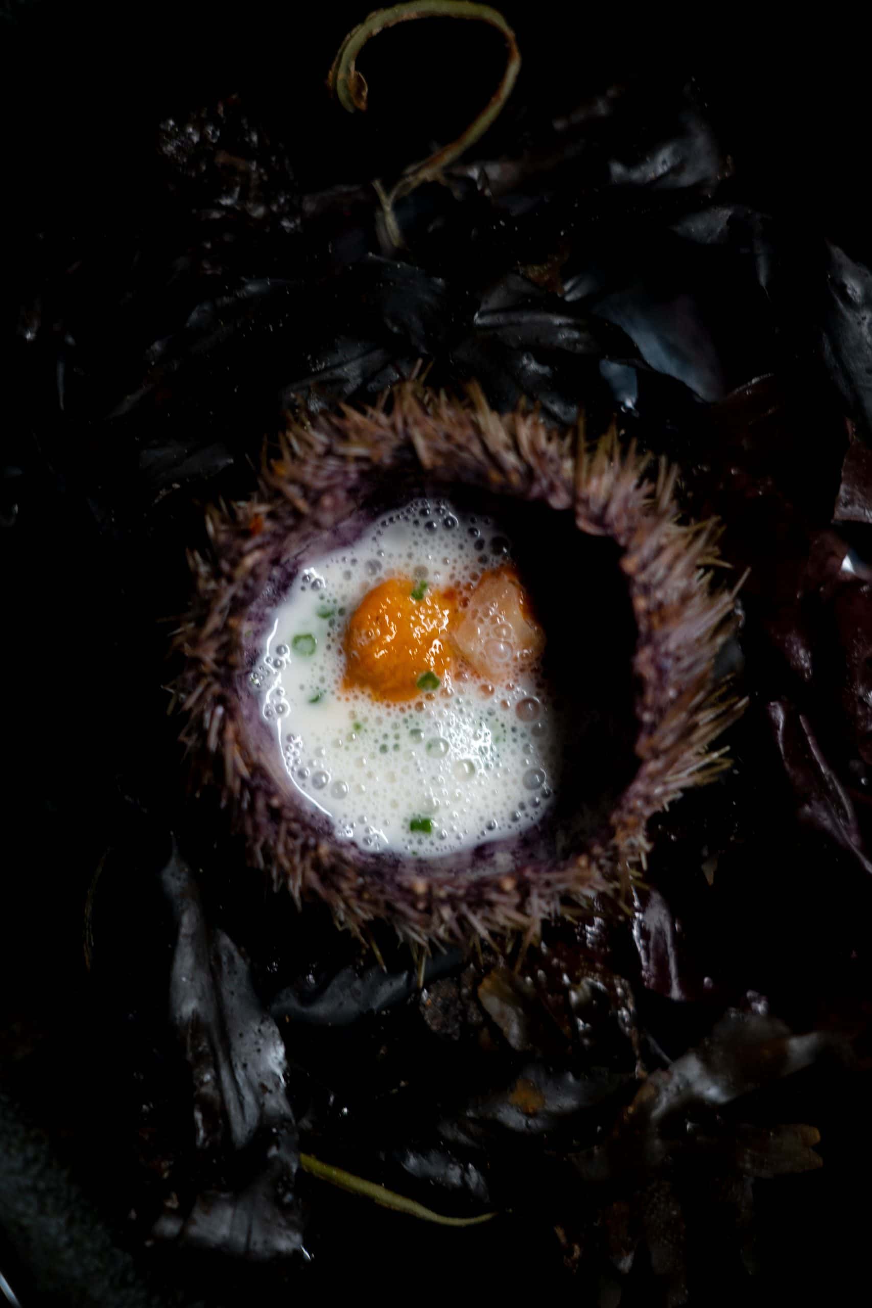 Entrée 3-7