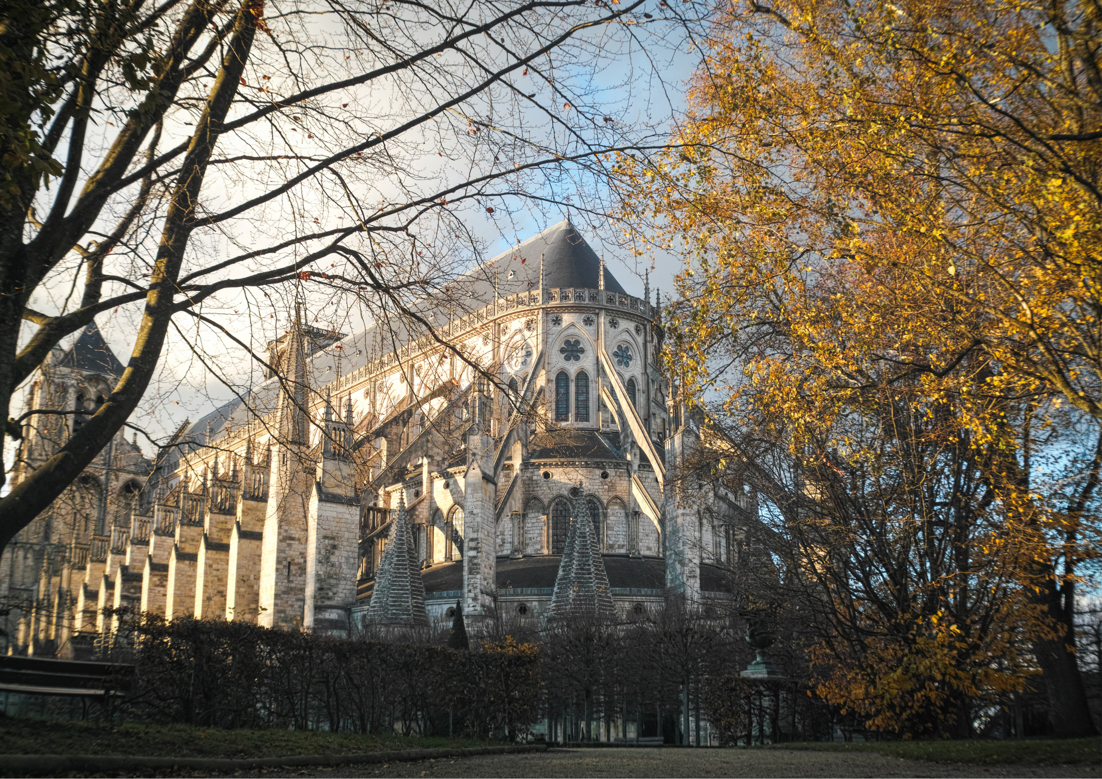 vidéaste Saint etienne