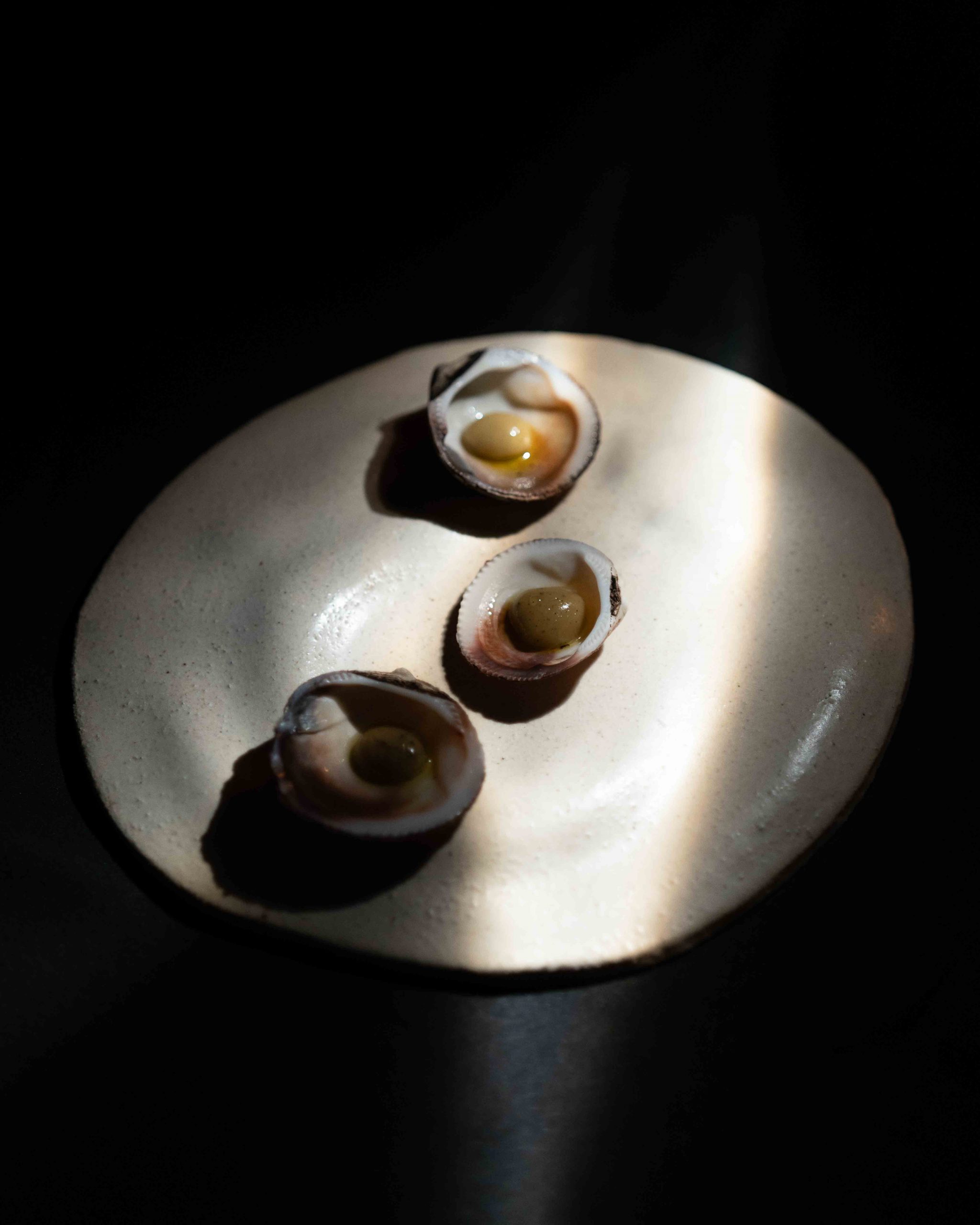Photographe Astral Restaurant-16