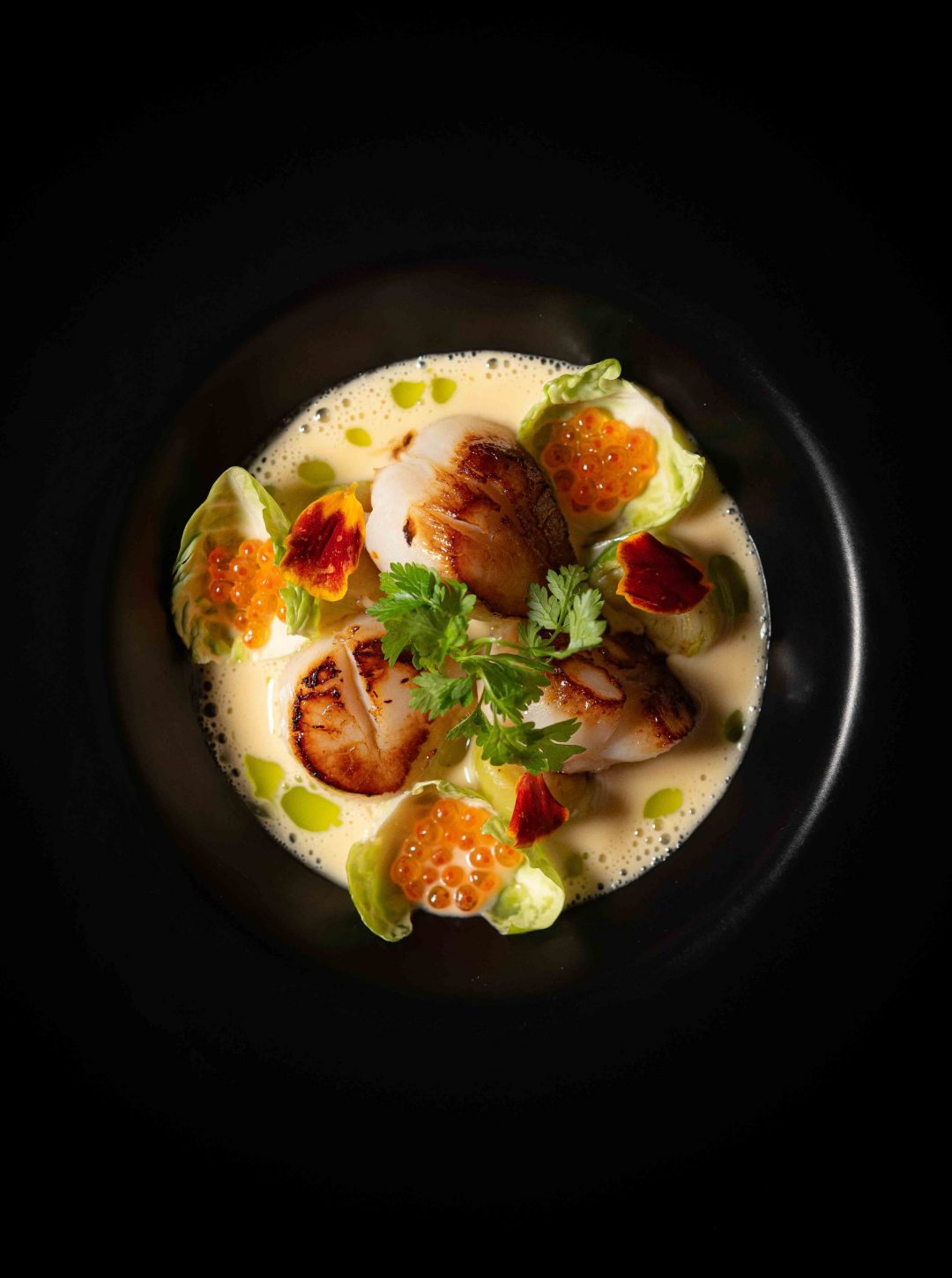Photographe ART Restaurant-5